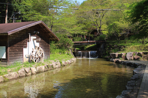 河川公園-キャンプ場